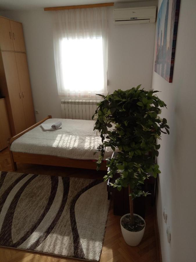Cozy Studio Belgrado Exterior foto